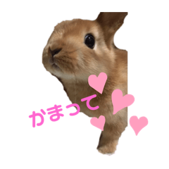 [LINEスタンプ] ごくらく日記
