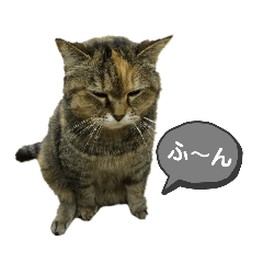 [LINEスタンプ] ミミ様