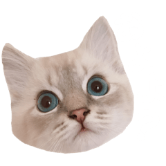 [LINEスタンプ] サイベリアンのポッキー