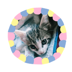 [LINEスタンプ] ボク、キャンティー 2
