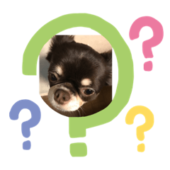 [LINEスタンプ] ルキちゃんスタンプ