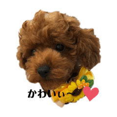 [LINEスタンプ] トイプー♥︎エド3