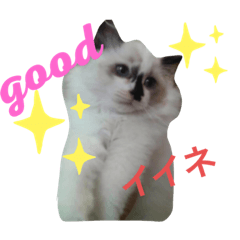 [LINEスタンプ] ニャワールド