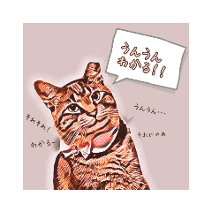[LINEスタンプ] 愉快な仲間たち(犬ネコ様)