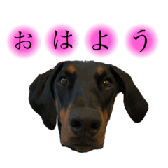 [LINEスタンプ] ぺーたんベーたん
