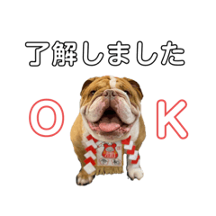 [LINEスタンプ] ハンサムくん