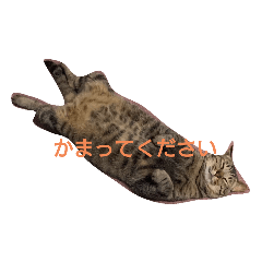 [LINEスタンプ] azune