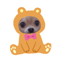 [LINEスタンプ] チワワのりーたんあーたん2