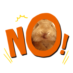 [LINEスタンプ] ロップイヤーのきなこ