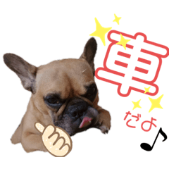[LINEスタンプ] フレンチブルドッグ☆リブの楽しい毎日④