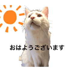 [LINEスタンプ] ぶらんちぃ