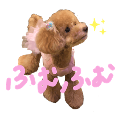[LINEスタンプ] ティナさんのスタンプ