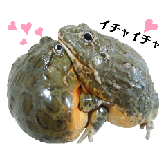 [LINEスタンプ] アフウシLove