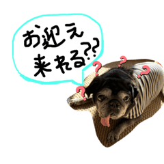 [LINEスタンプ] 黒パグキャンディー2nd