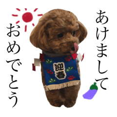 [LINEスタンプ] トイプードル ヲタク