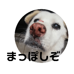 [LINEスタンプ] riri's normal life