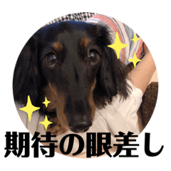 [LINEスタンプ] まりちゃ