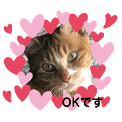 [LINEスタンプ] 私 かわいい