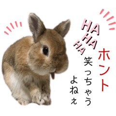 [LINEスタンプ] 陽気なうさぎバトン君4