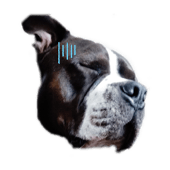 [LINEスタンプ] マサオの日常