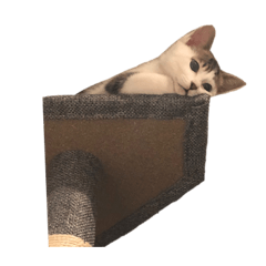 [LINEスタンプ] ひじき様の言う通り。