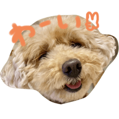 [LINEスタンプ] もこのスタンプ②