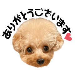 [LINEスタンプ] my name is COCO◡̈