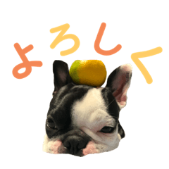 [LINEスタンプ] PA N CHI