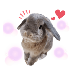 [LINEスタンプ] ☆みみたれうさぎ1☆