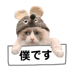 [LINEスタンプ] たんちゃんスタンプ＠ナノ