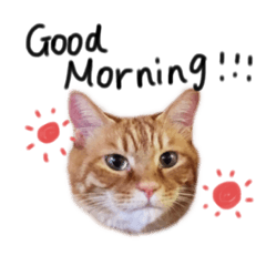 [LINEスタンプ] パンとライス①