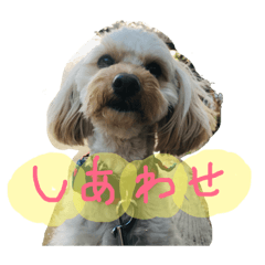 [LINEスタンプ] まるぷーれんの日常3