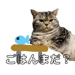 [LINEスタンプ] のなめ家のにゃんず①