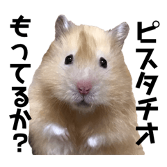 [LINEスタンプ] キンクマロングしゅんと時々シャチョー