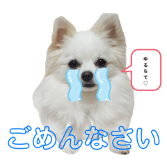 [LINEスタンプ] ポメチワ の ひめ スタンプ