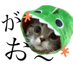 [LINEスタンプ] のなめんさんちのこはる①
