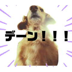 [LINEスタンプ] ミニチュアダックス モカ ˙ᴥ˙