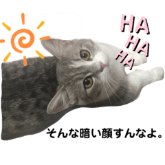 [LINEスタンプ] まるちゃんのスタンプだよ