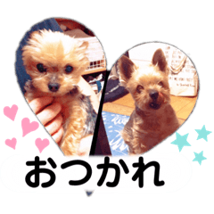 [LINEスタンプ] ～家族用スタンプ～
