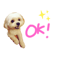 [LINEスタンプ] ほーちゃんのスタンプ☆