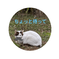 [LINEスタンプ] 猫と不愉快な仲間たち