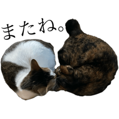 [LINEスタンプ] おこげとこはくのきもち2