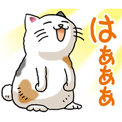 [LINEスタンプ] 猫大好き！その24 三毛猫4