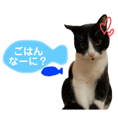 [LINEスタンプ] ビビ1