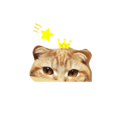 [LINEスタンプ] ハル の 日常