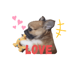 [LINEスタンプ] Sadaharu.