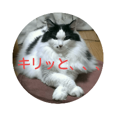 [LINEスタンプ] スゥ