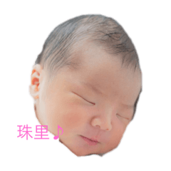 [LINEスタンプ] 珠里ちゃん誕生！