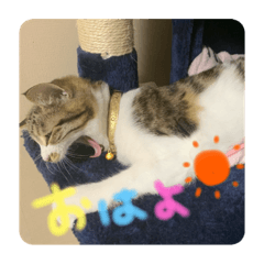 [LINEスタンプ] ミイナ挨拶スタンプ