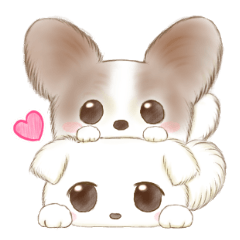 [LINEスタンプ] チワワとマルチーズのミックス犬まめたくん